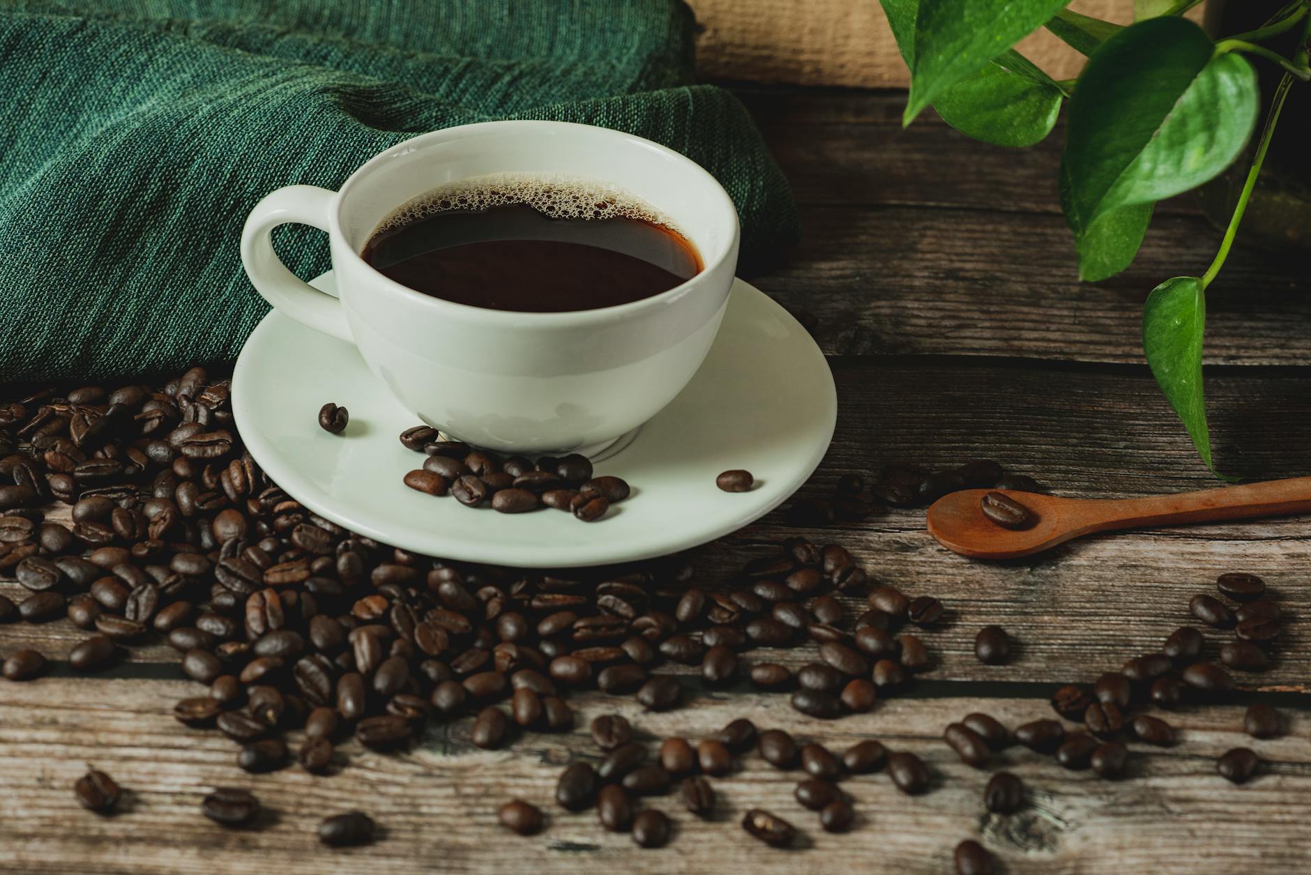 Kopi Arabika berkualitas tinggi dengan biji kopi segar